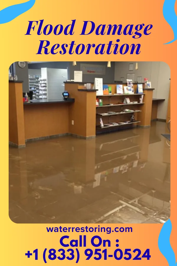 Flood Damage Restoration in Rose City, MI